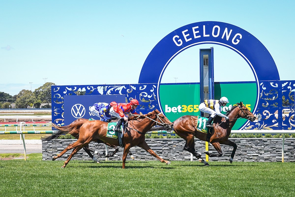 Our Geelong Cup affiliation continues