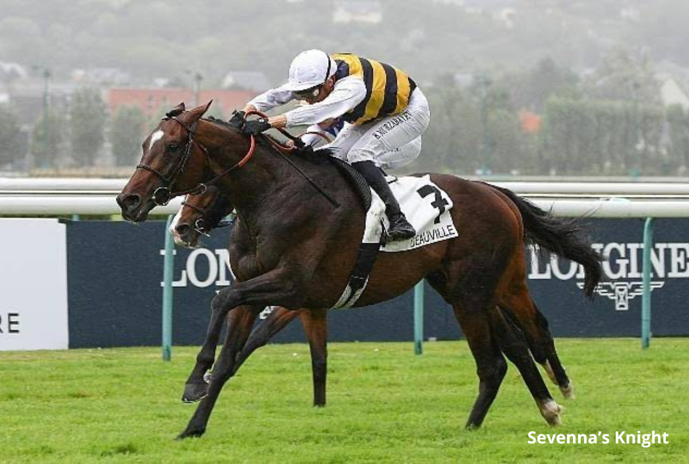 Sevenna's Knight heading to Dubai